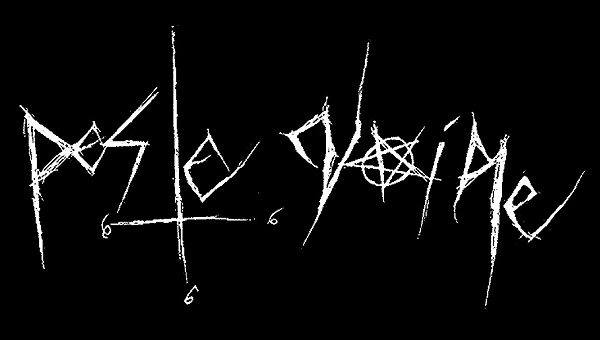 Zdjęcie zespołu Peste Noire - Black Metal
