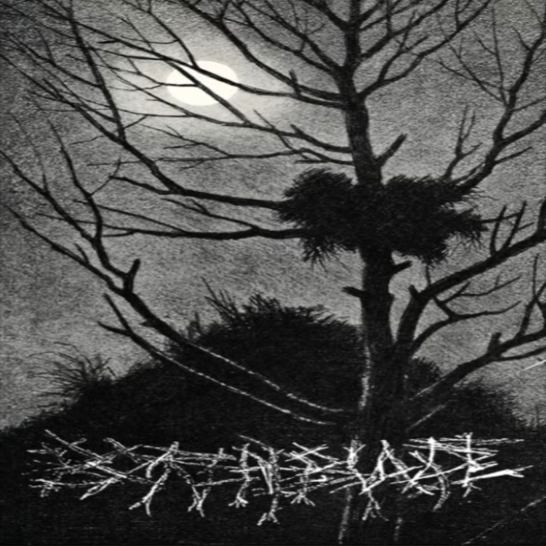 Evidence for: Nowy wpis w Zine: Borealblade - S/T